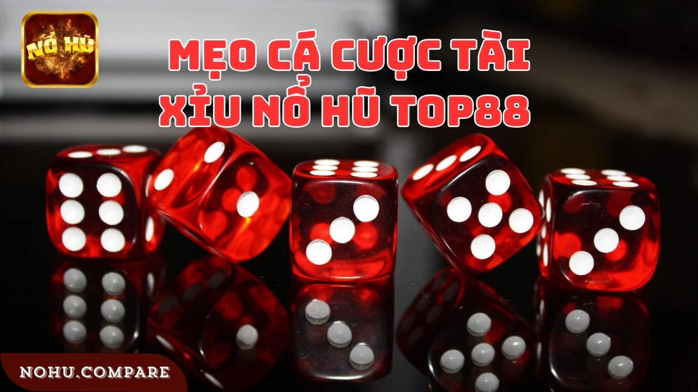 Mẹo cá cược Tài Xỉu Nổ Hũ Top88 chắc chắn thắng lớn Mẹo cá cược Tài Xỉu Nổ Hũ Top88 chắc chắn thắng lớn